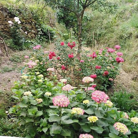 Bed and Breakfast Il Ghiro Леванто Екстер'єр фото