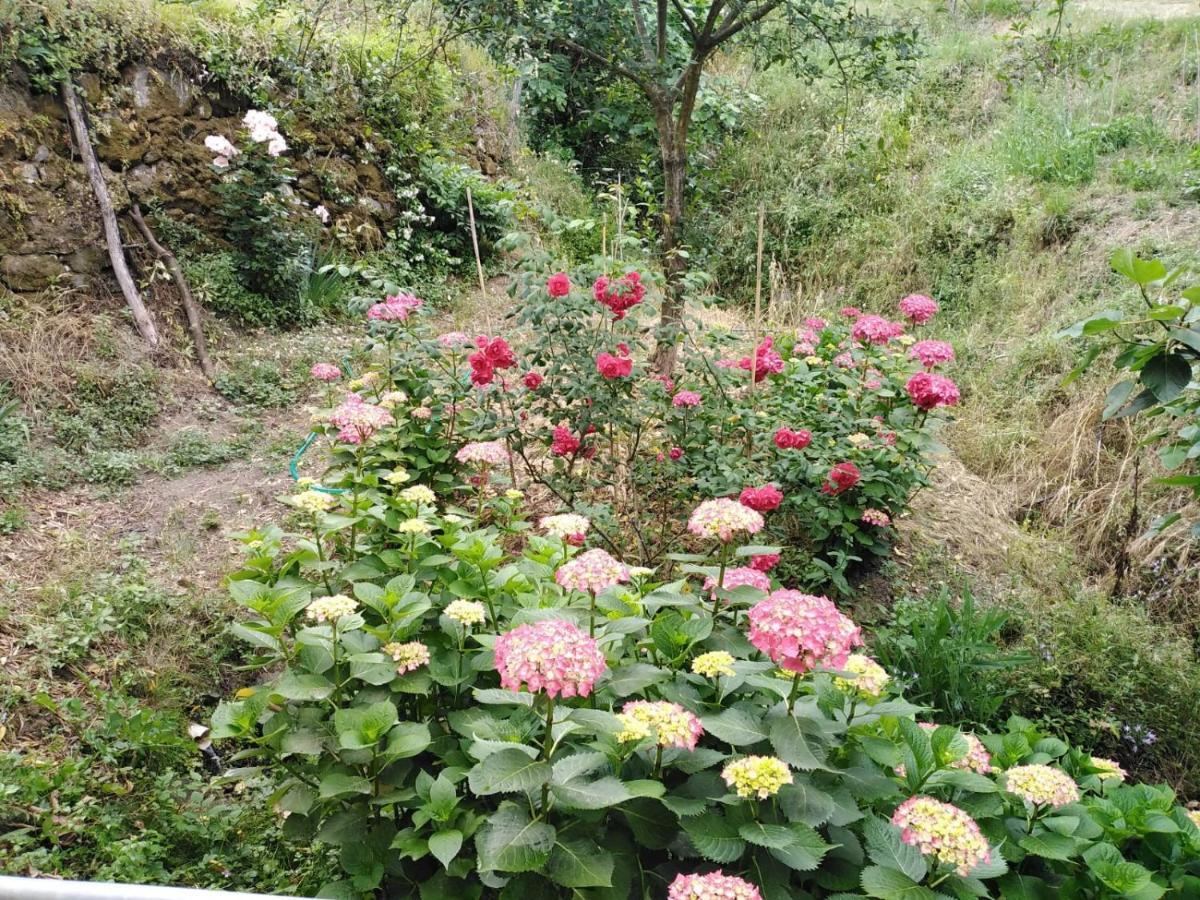 Bed and Breakfast Il Ghiro Леванто Екстер'єр фото